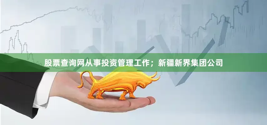 股票查询网从事投资管理工作；新疆新界集团公司